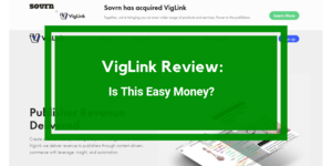 VigLink review